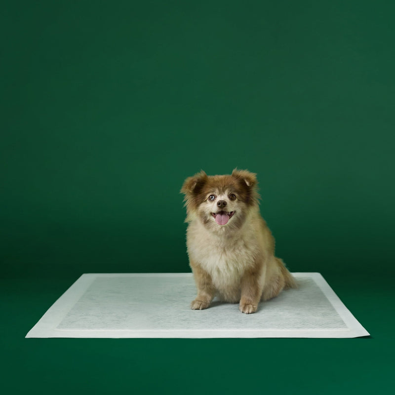 Disposable Dog Pee Pads with AbsorbShield+ Technology K0